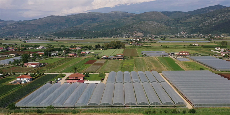 Zucchino, con Cifo, la produttività non si ferma!